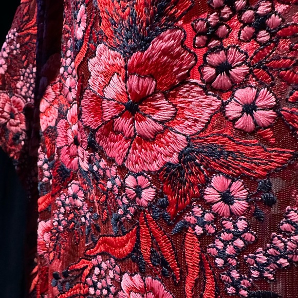 Anthropologie Rosa Lace Dress - Picture 8 of 11